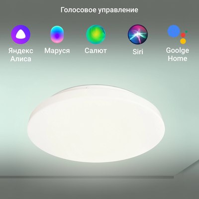 Потолочный светильник Digma TopLight TL25
