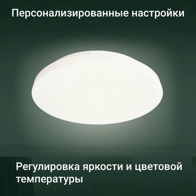 Потолочный светильник Digma TopLight TL25