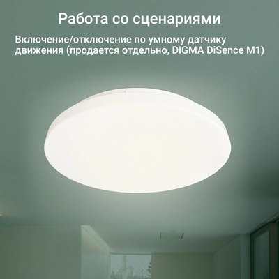 Потолочный светильник Digma TopLight TL25