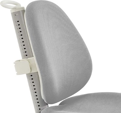 Кресло растущее Ergosmart Gulliver