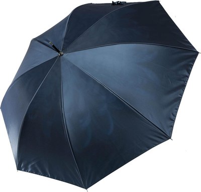 Зонт-трость Fabretti UFD0011-3 - фото