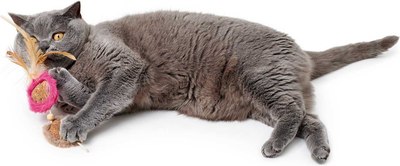 Игрушка для кошек HUNTER Toy Cat Moa Doubleball / 67737