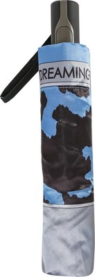 Зонт складной Fabretti UFLS0054-9