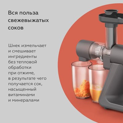 Соковыжималка электрическая BQ J2002 (серый)