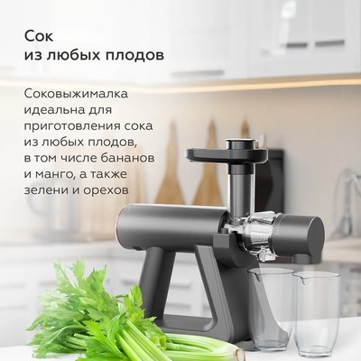 Соковыжималка электрическая BQ J2002 (серый)