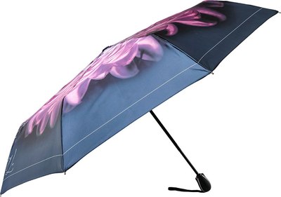 Зонт складной Fabretti UFS0059-10 - фото