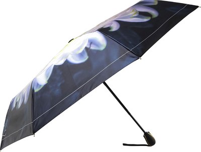 Зонт складной Fabretti UFS0059-7 - фото