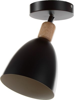 Спот BayerLux Дан 9916115