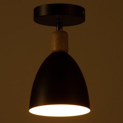 Спот BayerLux Дан 9916115