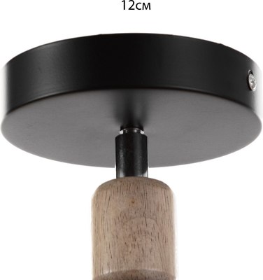 Спот BayerLux Дан 9916115