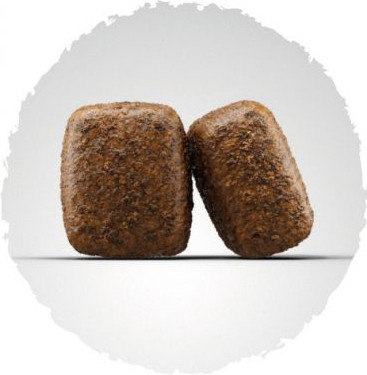 Сухой корм для собак Josera Nature Energetic