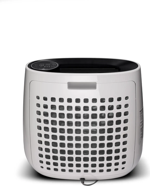 Очиститель воздуха Sharp FP-J31RB