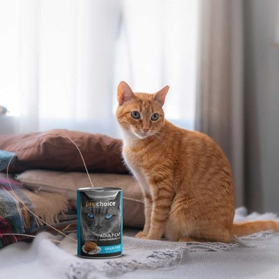 Влажный корм для кошек Prochoice Рыба и овощи паштет для взрослых кошек