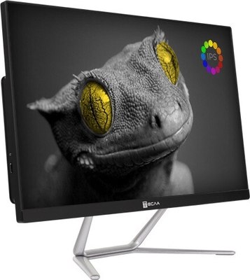 Моноблок Тесла Z24B / 2108500