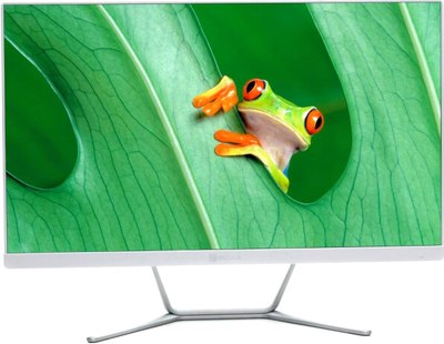 Моноблок Тесла Z24W / 2116500