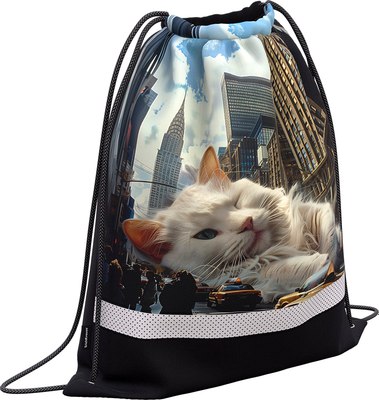 Мешок для обуви Erich Krause Big City Cats / 63583 - фото