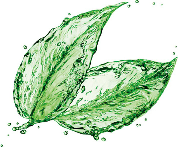 Пищевая добавка Maxler Жидкий Хлорофилл со вкусом мяты