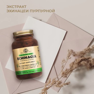 Пищевая добавка Solgar Экстракт эхинацеи пурпурной
