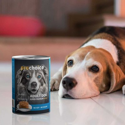 Влажный корм для собак Prochoice Паштет Сардина и анчови