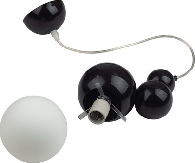 Потолочный светильник Lumion Blasen 6566/1A