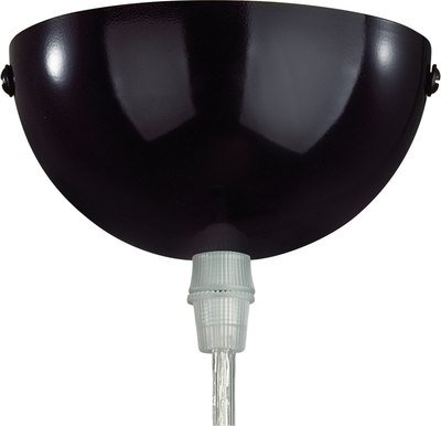 Потолочный светильник Lumion Blasen 6566/1A