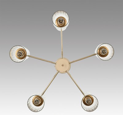 Люстра Lumion Kassia 6586/10