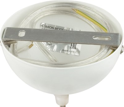 Потолочный светильник Lumion Blasen 6565/1A