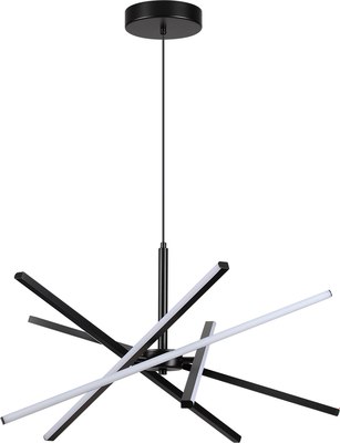 Потолочный светильник Lumion Parker 6563/60L - фото