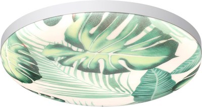 Потолочный светильник Sonex Flori 7748/DL - фото