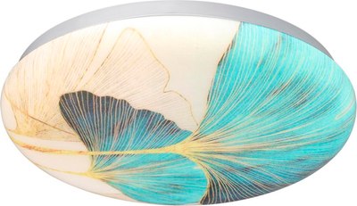 Потолочный светильник Sonex Floren 7747/CL - фото