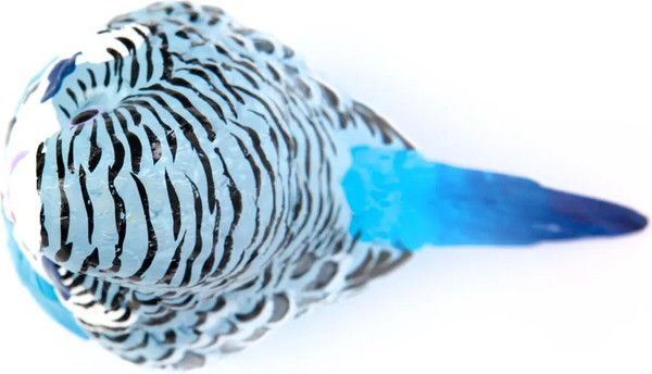 Фигурка коллекционная Exoprima Волнистый попугай / 56381/AH