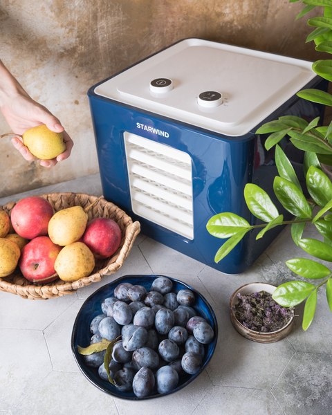 Сушилка для овощей и фруктов StarWind SFD6431