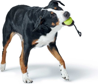 Игрушка для собак HUNTER Jamuna / 67725