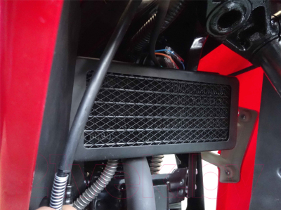 Мотоцикл Racer Skyway RC300CS