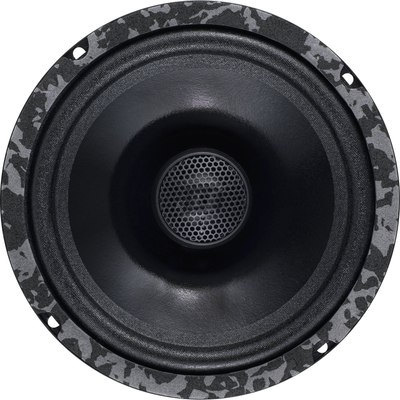 Коаксиальная АС DL Audio Anaconda 165 Coax - фото