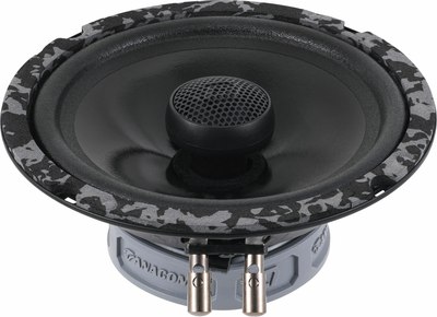 Коаксиальная АС DL Audio Anaconda 165 Coax