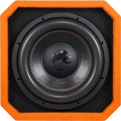 Корпусной активный сабвуфер DL Audio Piranha 12A V.2 Twin