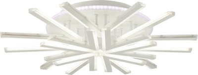 Потолочный светильник Lumion Alberta 8029/95CL