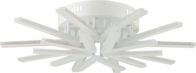 Потолочный светильник Lumion Alberta 8029/80CL