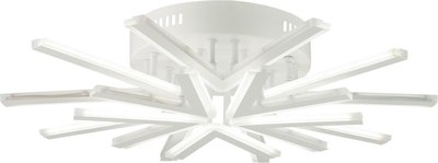 Потолочный светильник Lumion Alberta 8029/80CL