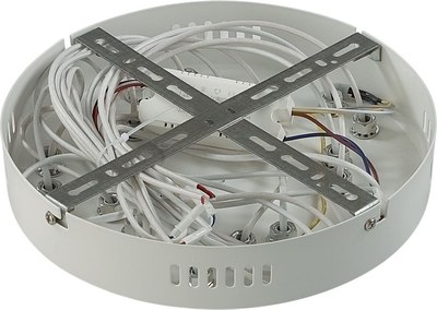 Потолочный светильник Lumion Alberta 8029/80CL