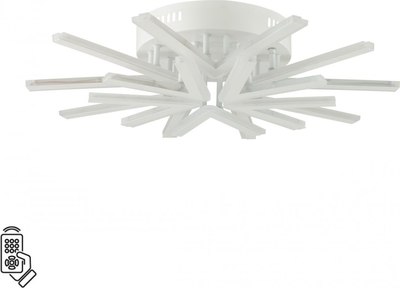 Потолочный светильник Lumion Alberta 8029/80CL