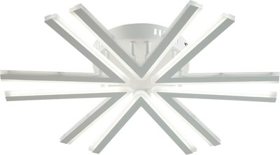 Потолочный светильник Lumion Alberta 8029/60CL