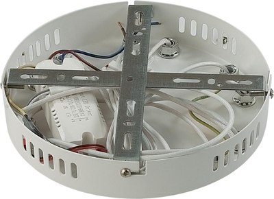 Потолочный светильник Lumion Alberta 8029/60CL