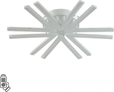 Потолочный светильник Lumion Alberta 8029/60CL