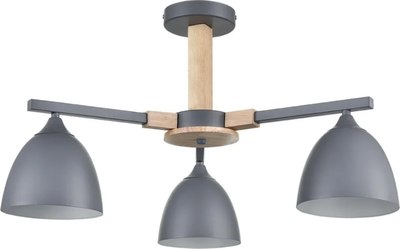 Люстра Lumion Colange 8096/3C