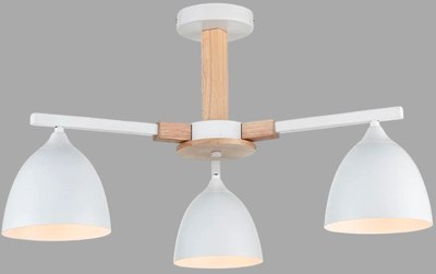 Люстра Lumion Colange 8095/3C - фото