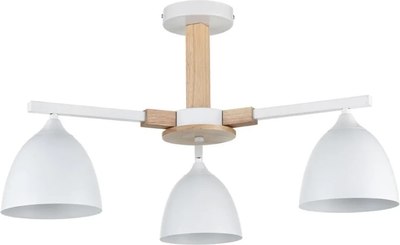 Люстра Lumion Colange 8095/3C