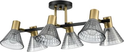 Люстра Lumion Anriya 8044/6C - фото