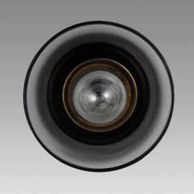 Потолочный светильник Lumion Isha 8101/1A